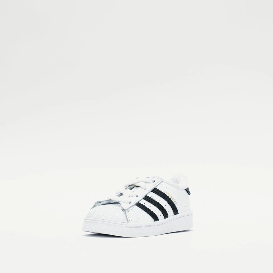 Infant / Toddler | * Adidas Superstar (Infant/Toddler) Cloud White/Core Black